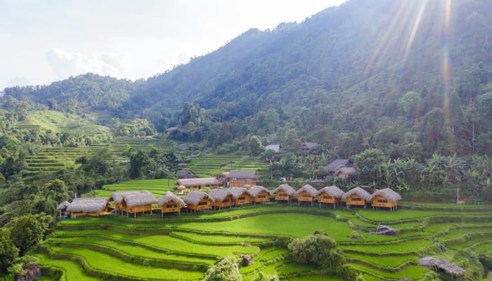 bac-ha